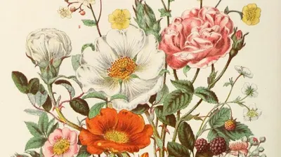 Odnova Kosmetyka Estetyczna & Fizjoterapia